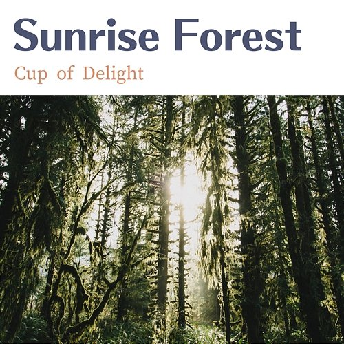 Cup of Delight Sunrise Forest