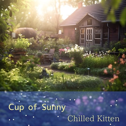Cup of Sunny Chilled Kitten