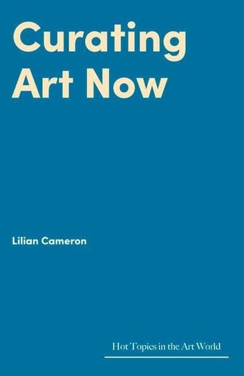 Curating Art Now Lilian Cameron
