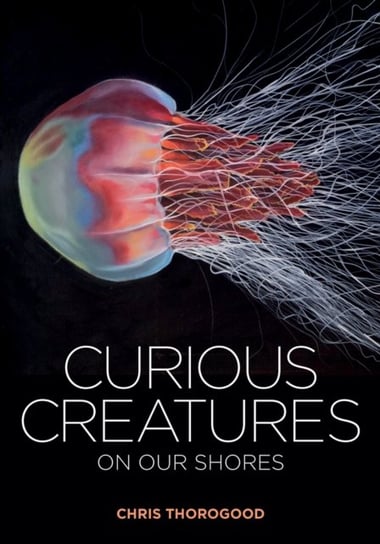 Curious Creatures on our Shores Chris Thorogood