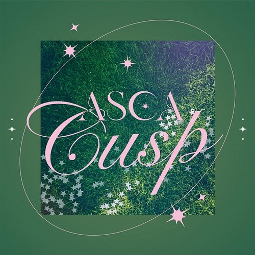 Cusp ASCA