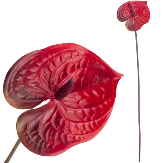 Cv15803-5 Anturium Gumowe Czerwone 60 Cm Kwiaty Sztuczne MARTOM