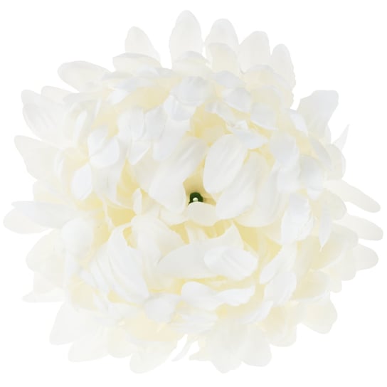 Cv28499-1 Chryzantema Duża Główka Wyborowa Kwiaty Premium MARTOM