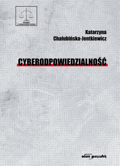 Cyberodpowiedzialność Chałubińska-Jentkiewicz Katarzyna