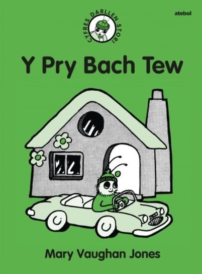 Cyfres Darllen Stori: Y Pry Bach Tew Mary Vaughan Jones