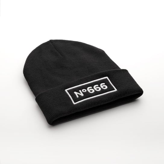 czapka zimowa N 666 Pozostali producenci
