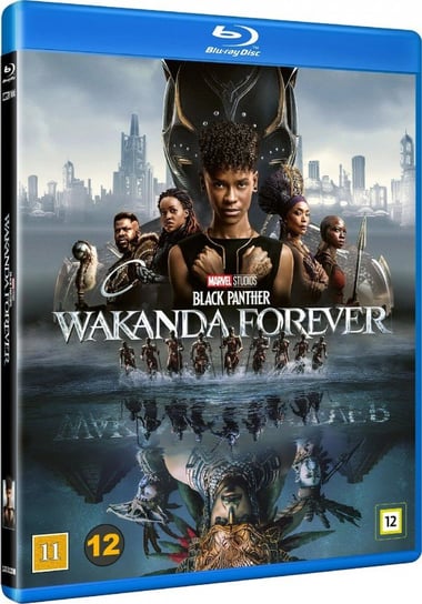 Czarna Pantera: Wakanda w moim sercu Various Directors