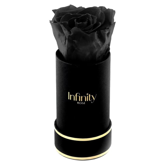 Czarna Stabilizowana Wieczna Róża Czarny Mini Flower Box Infinity Rose Golden Infinity Rose