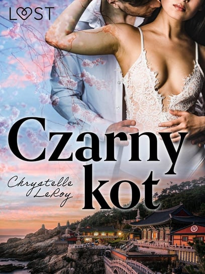 Czarny kot  - ebook epub LeRoy Chrystelle