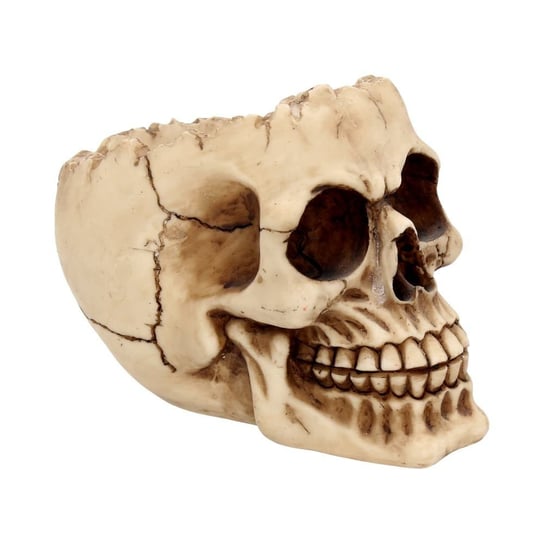 Czaszka Lobo 14,5cm Skull Nemesis Now