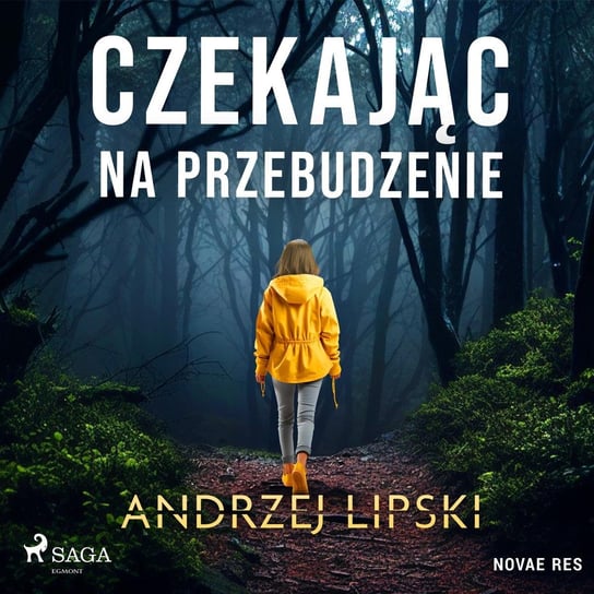 Czekając na przebudzenie Lipski Andrzej