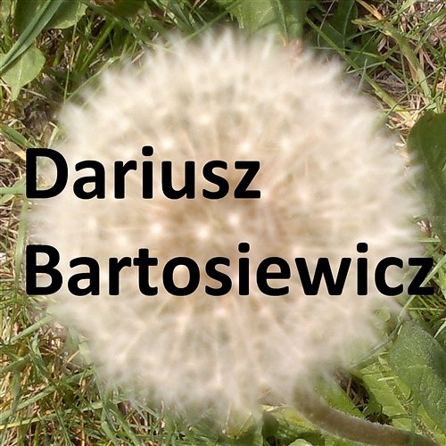 Czekam na Wiatr Dariusz Bartosiewicz