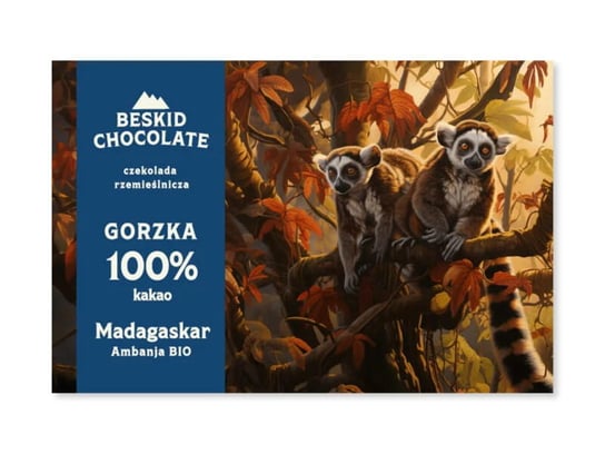 Czekolada Gorzka 100% Madagaskar Beskid Chocolate
