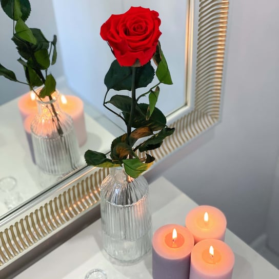 Czerwona Wieczna Róża Na Łodydze 50 Cm Rose du Château