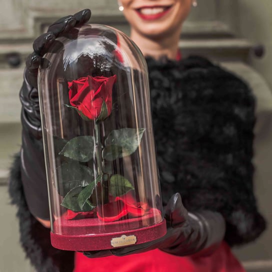 Czerwona Wieczna Róża w Szkatułce Beauty & The Beast / Rose du Château Rose du Château