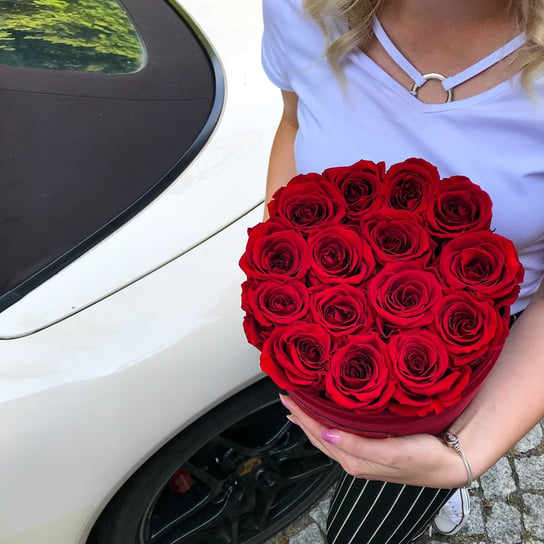 Czerwone Wieczne Róże Bordowy Flokowany Flowerbox Rose du Château