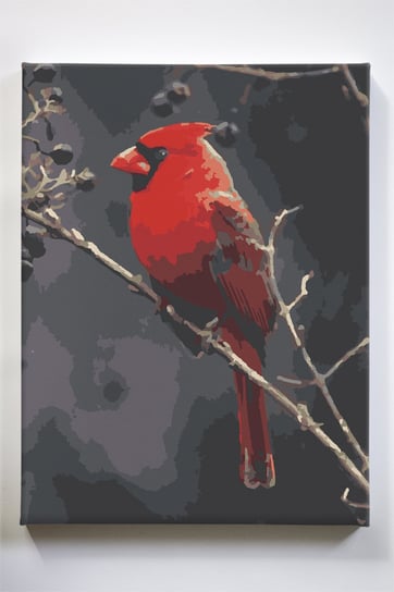 Czerwony ptak, zwierzęta, przyroda, malowanie po numerach Akrylowo
