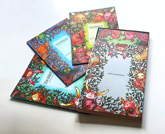 Czteropak w pudełku kolorowanki "Leśne opowieści", 4 tomy, Petite dominance Petite dominance