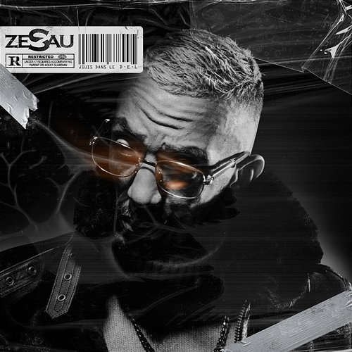 D.E.L Zesau