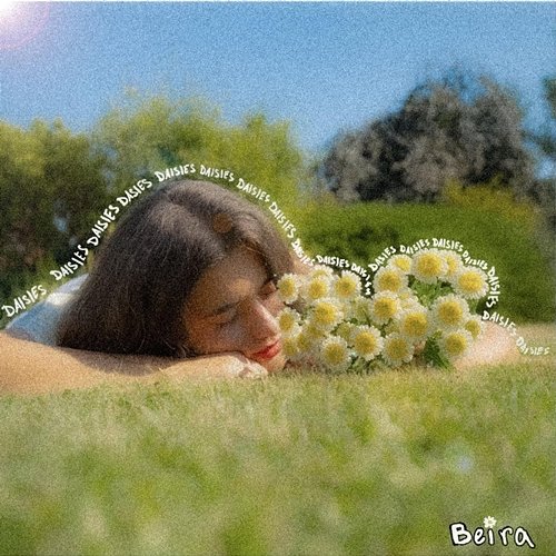 Daisies beira