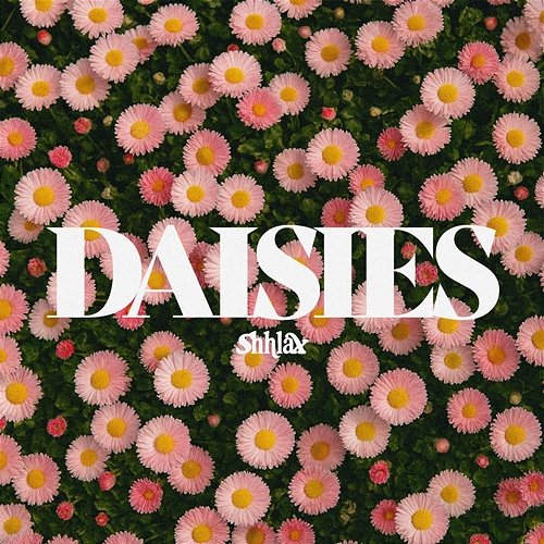 DAISIES SHHLAX