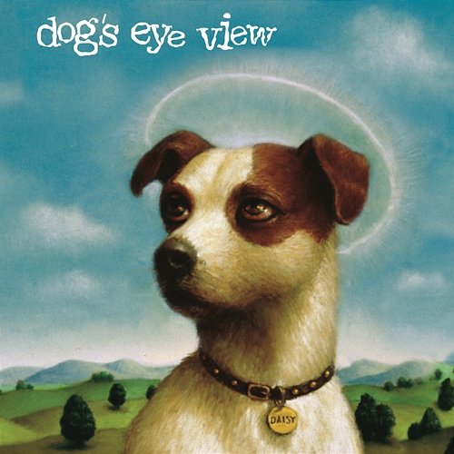 DAISY Dog's Eye View