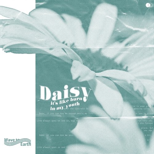 daisy. wave to earth