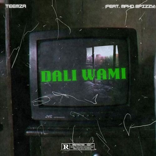 Dali Wami Teemza feat. Mpho Spizzy