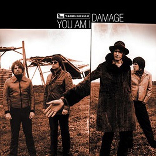 Damage You Am I