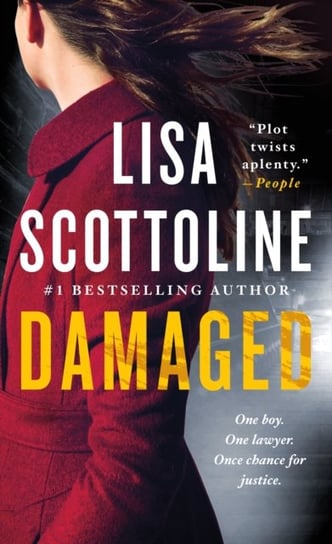 Damaged: A Rosato & DiNunzio Novel Scottoline Lisa