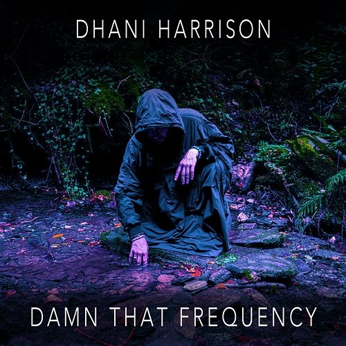 Damn That Frequency Dhani Harrison