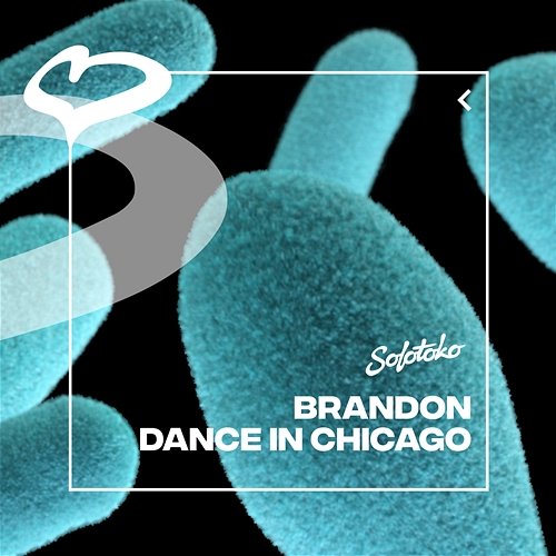 Dance In Chicago Brandon