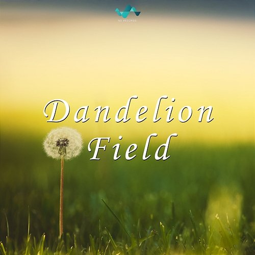 Dandelion Field NS Records