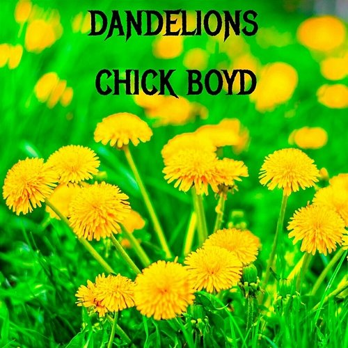 Dandelions Chick Boyd