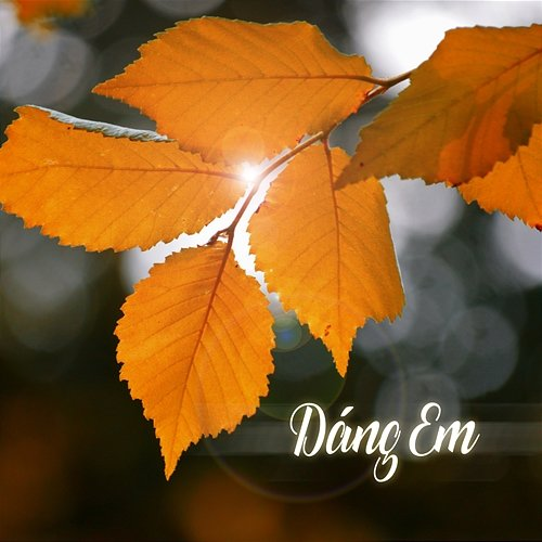 Dáng Em Hằng Han