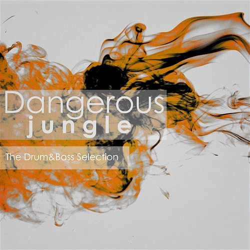 Dangerous Jungle - The Drum and Bass Selection Various Artists