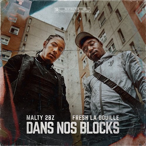 Dans Nos Blocks MALTY 2BZ feat. Fresh laDouille