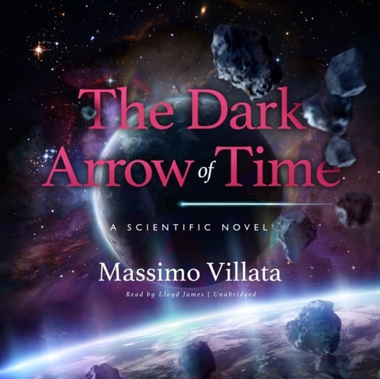 Dark Arrow of Time Villata Massimo