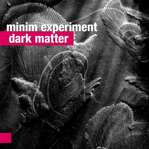 Dark Matter Minim Experiment
