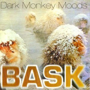 Dark Monkey Moods, płyta winylowa Bask