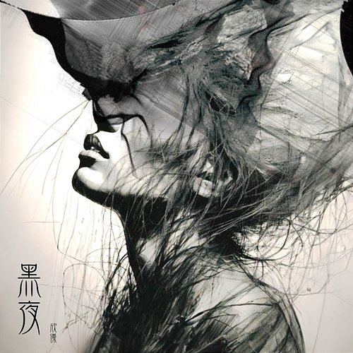 Dark night Tsai Hsin I