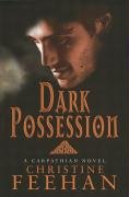 Dark Possession Feehan Christine