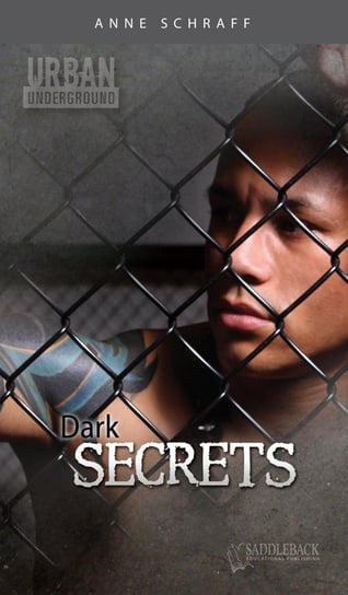 Dark Secrets Anne Schraff