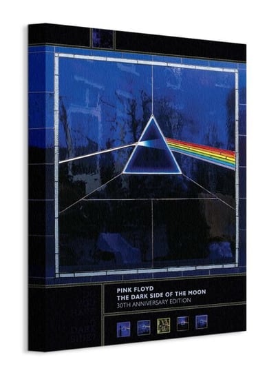 Dark Side Of The Moon, 30th Anniversary - obraz na płótnie Pyramid International