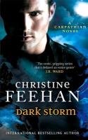 Dark Storm Feehan Christine