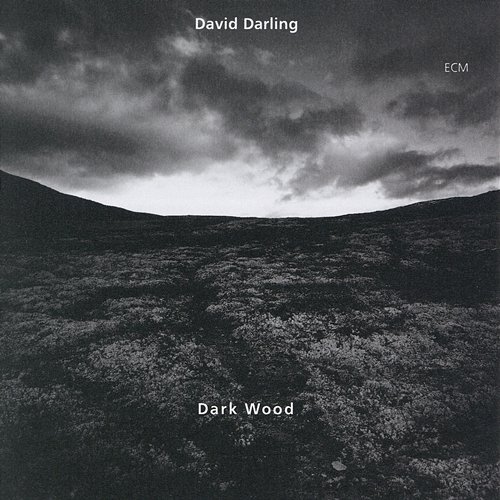 Dark Wood DAVID DARLING
