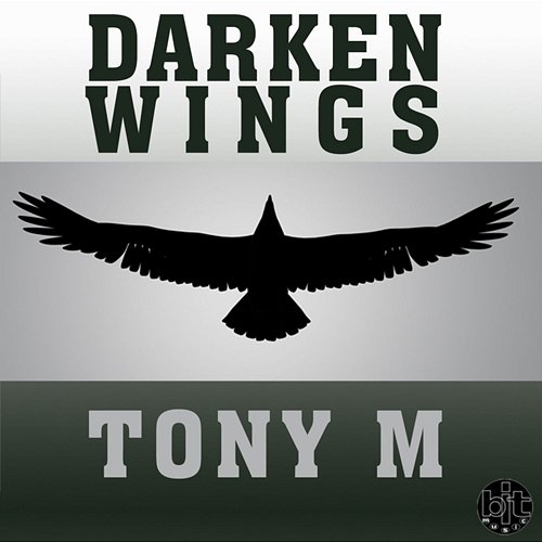 Darken Wings Toni M