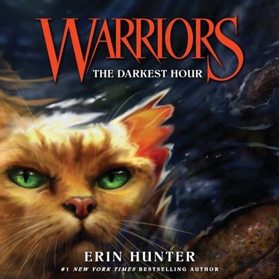 Darkest Hour Hunter Erin