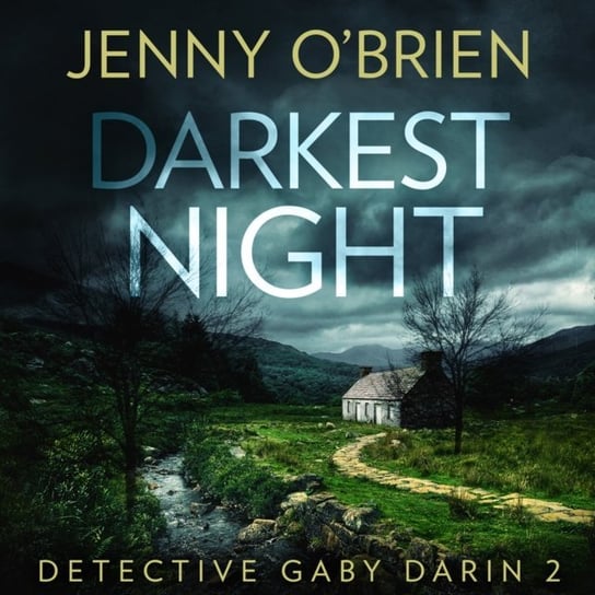 Darkest Night (Detective Gaby Darin, Book 2) O'Brien Jenny