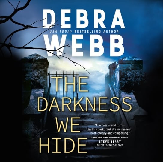 Darkness We Hide Debra Webb, Stephens Chelsea